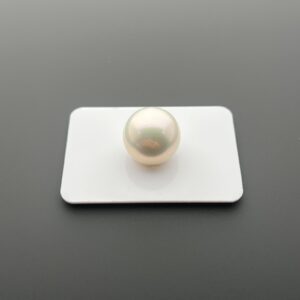 16.2 mm White Round Edison Pearl(Top Quality)