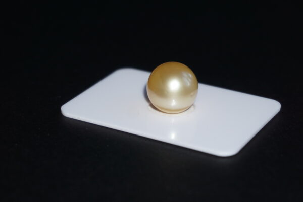 13 mm golden south sea pearls