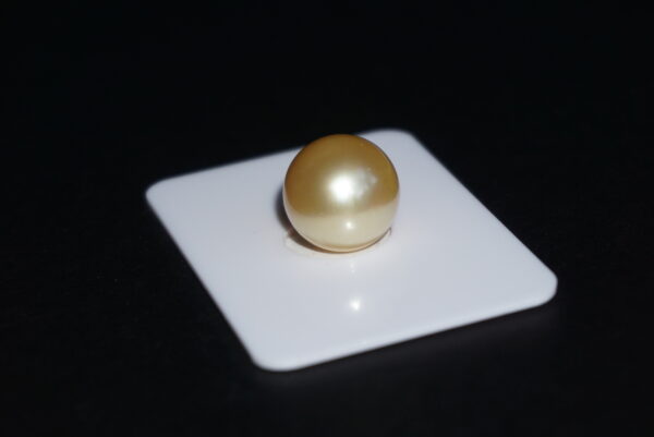 13 mm golden south sea pearls