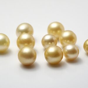 South sea Pearls